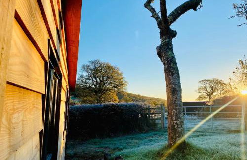 The Apple Shed - cosy cabin nestled in orchard in rural Devon - Foto 17