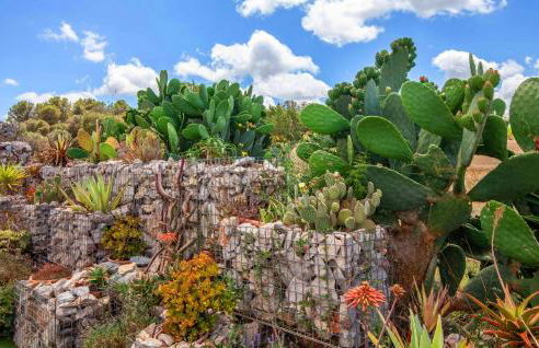 Villa Son Gat Mallorca - Photo 26