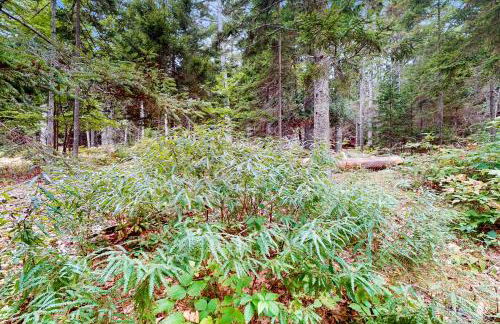 Sasanoa Retreat at Sprucewold - Foto 36