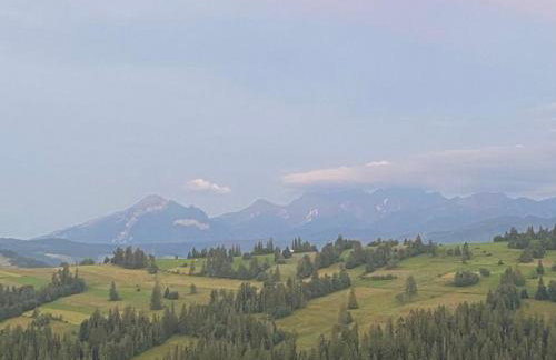 Dom Tatrzański Widok - Foto 49