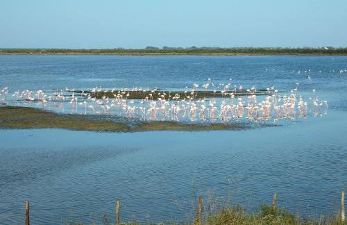Tenuta Ca' Zen - Photo 23