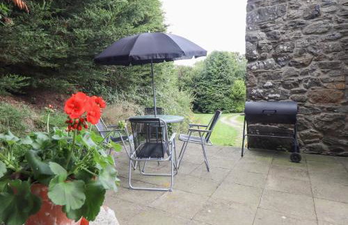 Yr Hen Felin - Foto 16