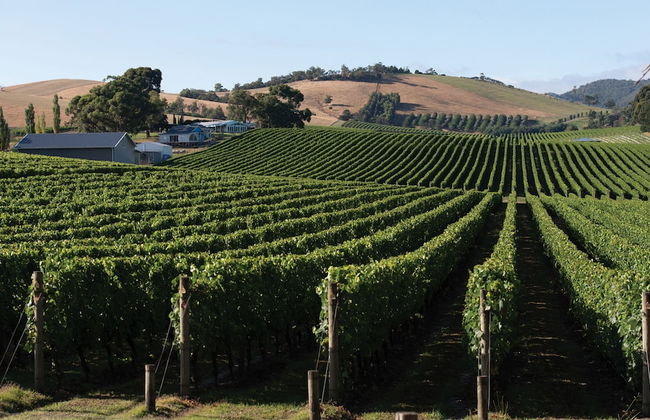 SOUMAH Wines - Photo 28