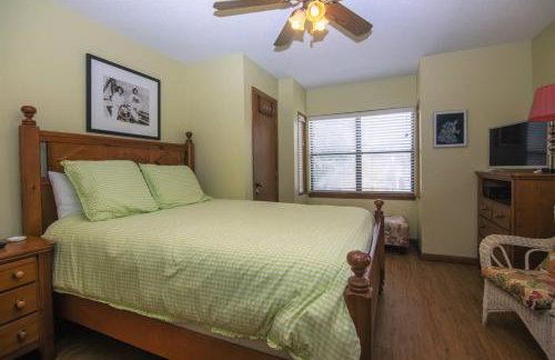 Green Parrot - Foto 20