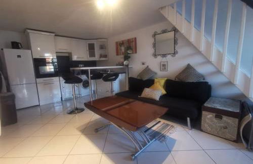 Duplex House Paris-CDG-Astérix - Foto 1