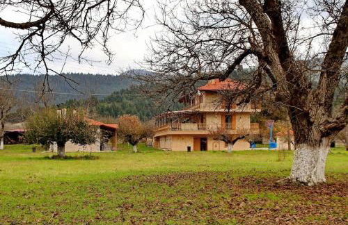 Ktima Karadimou - Photo 3