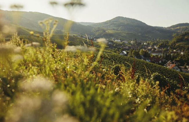 Oma Ludwin 1 Comfortable Holiday Residence - Foto 27