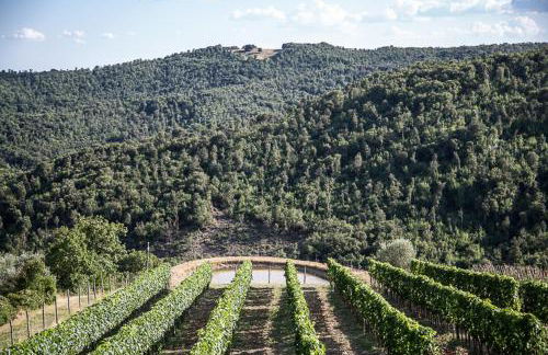 Casa Guaitoli - Foto 7