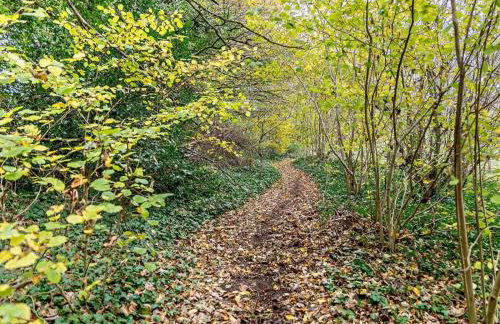 1 Bed in Sidmouth oc-hayes - Foto 14