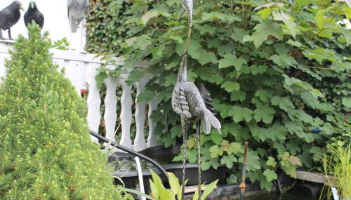 Ferienwohnungen Kießler - Foto 5, Garden