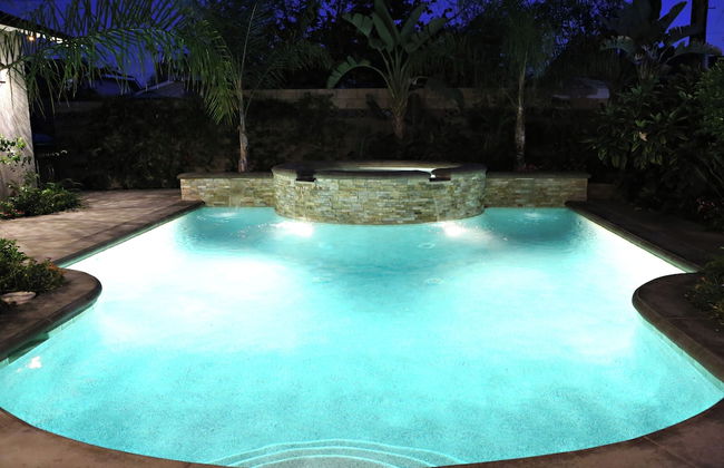 Highly Upgraded, 5 Bed, 4.5 ba, New Pool W/jacuzzi, 1/2 Mile Walk to Disney - Foto 28