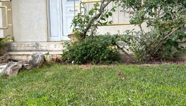 Aegean Hill Retreat - Foto 5