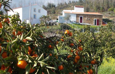 Casas de Campo de Vale de Junco - Foto 46