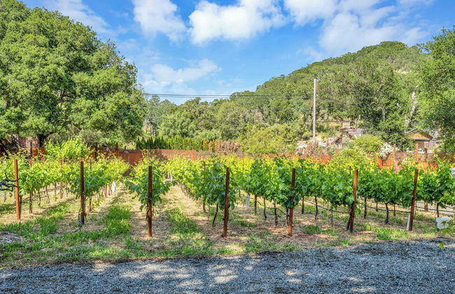 Grapevine Cottage by Avantstay Hobby Vineyard + Firepit - Foto 44