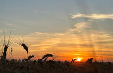 Schlafstall Brooksen - Foto 15