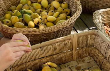 Il Fienile di Bisarno - Foto 13