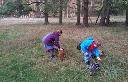 NR- Fewo mit Ladestation für E-Autos - Foto 31