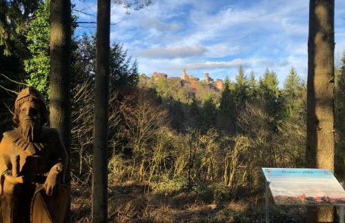 Apartment PfalzGlück - Foto 15