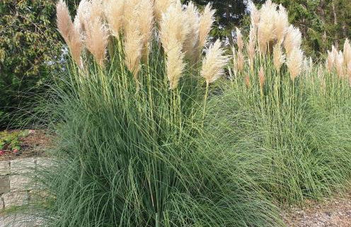 Ferienwohnung im Grünen I - Foto 18