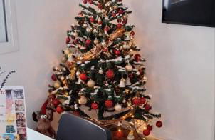 Aegina - Ifigeneia's House - Foto 2