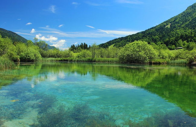 Nice Apartment Near Lake Bled With Views Over Stol Mountain - Foto 19