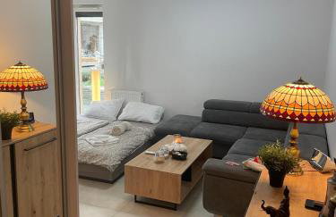 Apartament z dużym tarasem - najbliżej PreZero - Foto 24