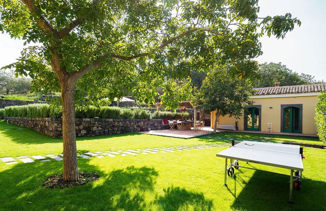 Nerello Mascalese - Foto 43