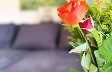 Ruhiges COZY Apartment im Bayerischen Wald WIFI - Photo 20