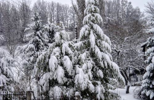 Zenios Dionysos - Traditional villa - Foto 76