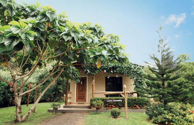 Cabaña Mi Querido Viejo - Foto 26