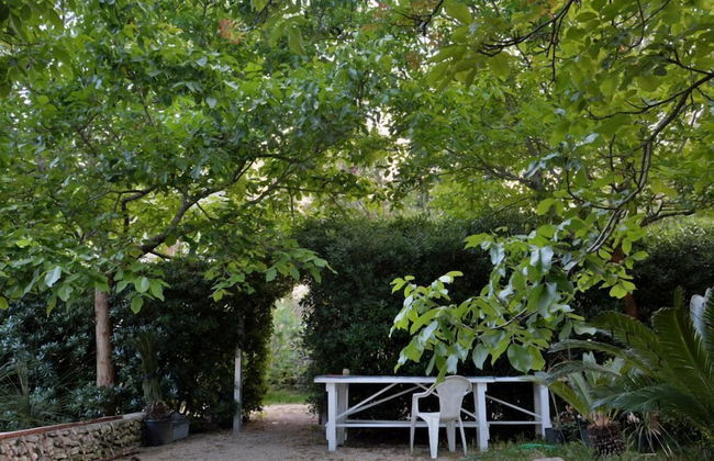 Masseria Lama - Foto 60