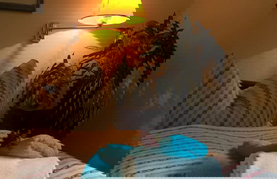 Villa Unger - Foto 8