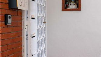 Il gatto Franco - Foto 4