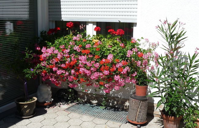 Graceful Apartment with Garden in Velmede near City Center - Foto 25