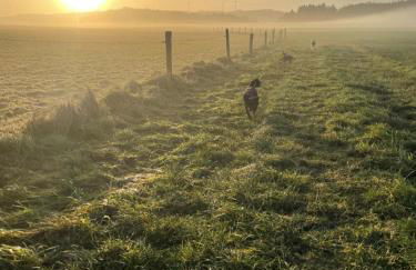 Ferienhaus Ferienwohnung Petermännchen - Foto 33