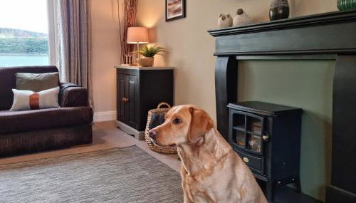 Willow Lodge, Wolfscastle - Foto 4, pet friendly