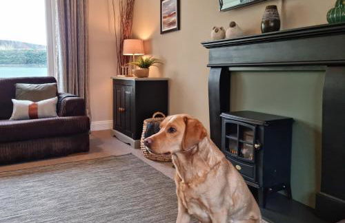 Willow Lodge, Wolfscastle - Foto 4