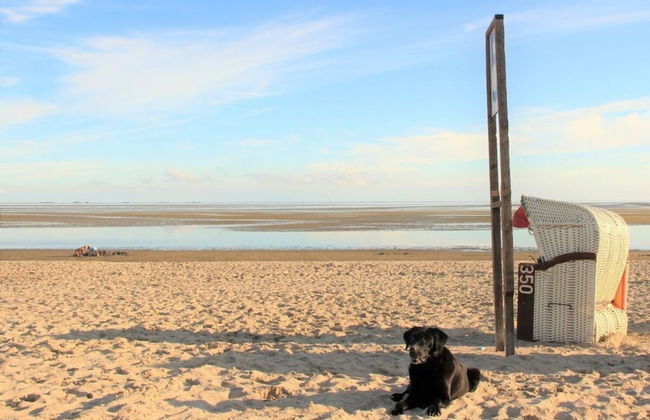 Westerheide Modern Retreat - Foto 22