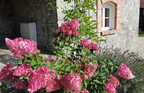 Dom Jesionów - Foto 10