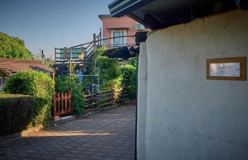 biodelfico, Policoro, Matera, Montalbano, mare - Photo 15