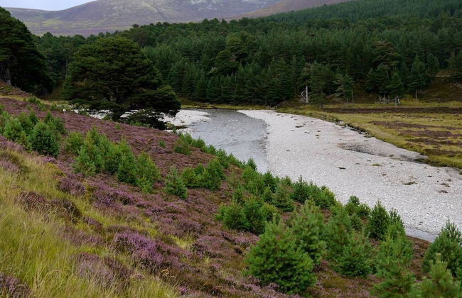 Stunning 3-bed Cottage in the Village of Tomintoul - Foto 12