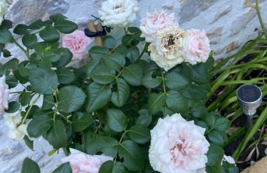 Studio Cosy dans les granges d un château accès spa - Foto 28