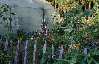 Blickinsfreie - Cabin - Foto 42