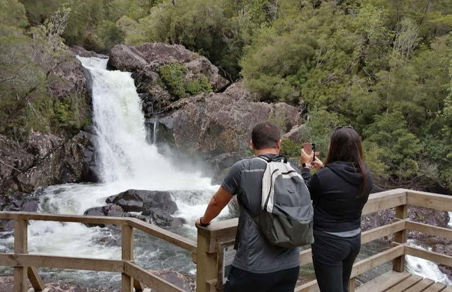 Senderismo por el Parque Nacional Alerce Andino - Foto 5