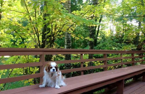 Secluded Waterfront Cabin Rental on Lake Superior near Red Cliff, Wisconsin - Foto 29