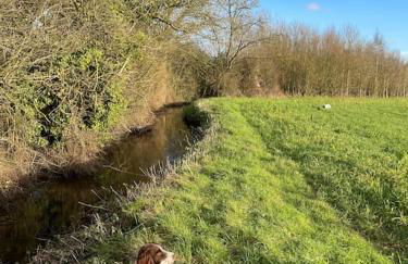 Totally Private, idyllic House with hot tub in an acre of private gardens - Foto 12