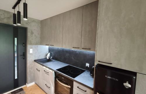 Holiday Hossa House 391 - całoroczne domy z Jacuzzi Sława - Foto 8