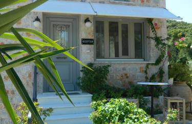 Filyra Xenonas - Foto 36