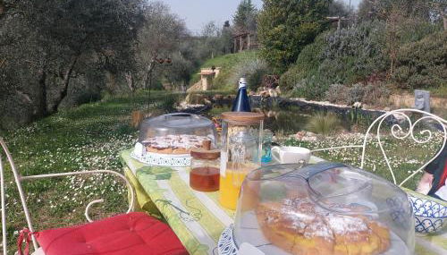 L'Aquila e L'Ulivo - Foto 3