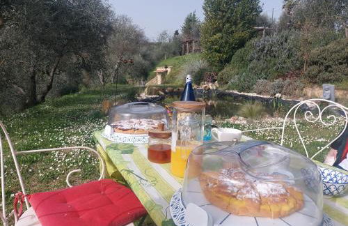 L'Aquila e L'Ulivo - Foto 3